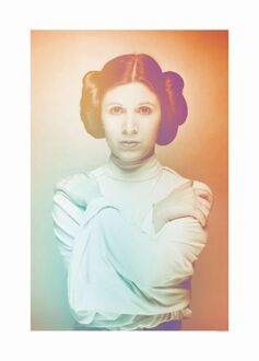 Komar Poster Star Wars Classic Icons Color Leia Oranje En Groen - 50 X 70 Cm - 610211