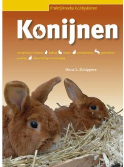Konijnen - Boek Chris Schippers (9087400810)