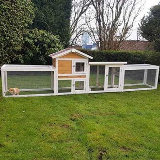 Konijnenhok Queensland met 2 rennen - 307x53x85 cm - Bruin/wit - Groot