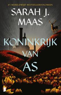 Koninkrijk van as -  Sarah J. Maas (ISBN: 9789049206338)