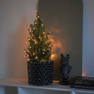 Konstsmide LED Clusterverlichting voor binnen -2100K Amber - 200 LEDs - 4,4 meter - IP20 - Kerstverlichting - Incl. transformator Zwart