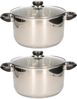Kookpan - 2x - RVS - met glazen deksel - 24 cm - 5 liter - o.a. voor inductie en gas