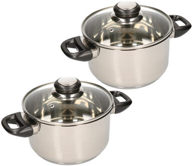 Kookpan met glazen deksel - 2x - diameter 20 cm - RVS - geschikt voor alle hittebronnen