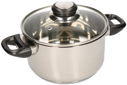 Kookpan met glazen deksel - diameter 20 cm - RVS - geschikt voor alle hittebronnen