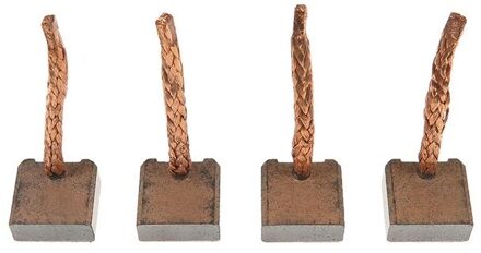 Koolborstel, startmotor SB6004