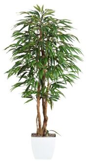 Kopu Kopu® Kunstplant Ficus 150 cm in witte pot - 720 bladeren Groen