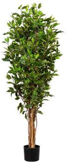 Kopu Kopu® Kunstplant Ficus Smal 150 cm in pot met Natuurstam Groen