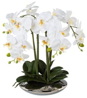 Kopu Kopu® Kunstplant Orchidee 4 takken 41cm in Zilveren Schaal - Wit