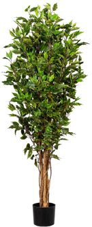 Kopu® Kunstplant Ficus Smal 150 cm in pot met Natuurstam Groen