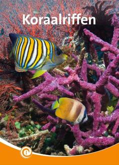 Koraalriffen -  Geert-Jan Roebers (ISBN: 9789464390797)
