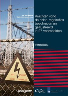 Krachten rond de risico-regelreflex beschreven en geïllustreerd in 27 voorbeelden - eBook Ira Helsloot (9462742677)