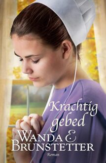 Krachtig gebed - eBook Wanda E. Brunstetter (9088653364)