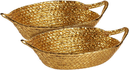 Krist+ 2x stuks metallic goud zeegras opslag of brood mandjes 26 x 22 x 8 cm