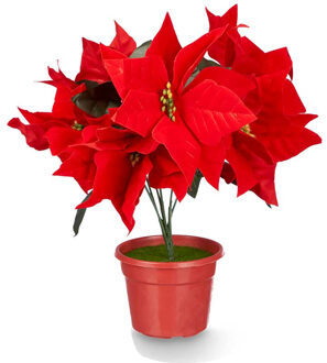 Krist+ Kunstplant Kerstster -?Poinsettia - rood - H30 cm - nepplant - kerstplant - kamerplant