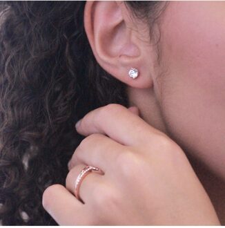 Kristine oorbellen - Oostenrijks kristal Wit en roségoud - One Size