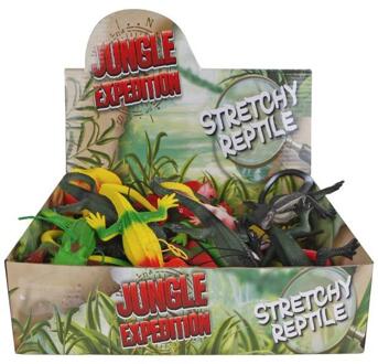 krokodil hagedis verschillende