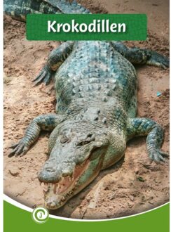 Krokodillen - Junior Informatie - Geert-Jan Roebers