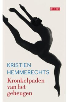 Kronkelpaden van het geheugen - Boek Kristien Hemmerechts (9044523414)