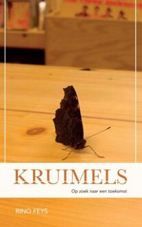 Kruimels - Boek Rino Feys (9463678727)