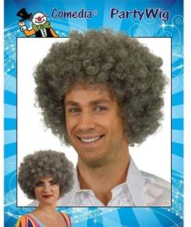 Krullenpruik grijs Zilver - Grijs