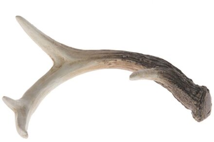 Kunst Hertengewei 22cm