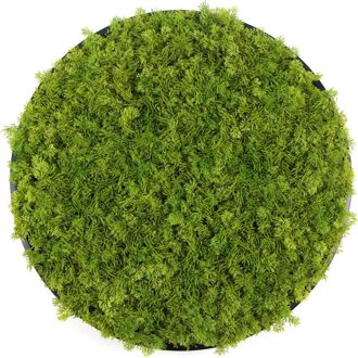 Kunst moscirkel MOSS Emerald Green 75cm. antraciet