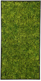 Kunst mosschilderij MOSS Emerald Green
