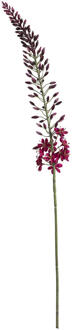 Kunstbloem Eremurus Spray - Bordeaux - 108 Cm - Polyethyleen - Rood