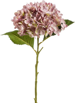 Kunstbloem hortensia tak - Annabelle - 52 cm - paars - Kunst zijdebloem - Hydrangea