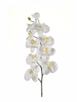 Kunstbloem - Orchidee - op tak - 100 cm - wit - sier - decoratie bloemen - Kunstbloemen