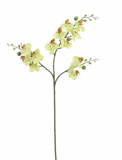 Kunstbloem Orchidee tak - lichtgeel - 75 cm - Kunst zijdebloemen - Kunstbloemen