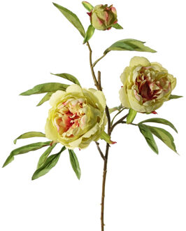Kunstbloem pioenroos Spring Dream - groen/roze - 73 cm - kunststof