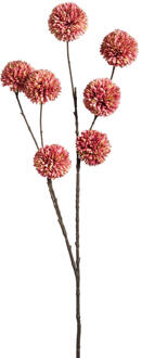 Kunstbloem Pompom Oud - 97 Cm - Katoen/PVC - Roze
