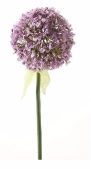 Kunstbloem Sierui / Allium - lila paars - steel van 70 cm
