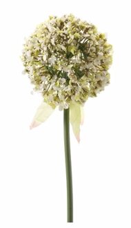 Kunstbloem - Sierui / Allium - wit/groen - 70 cm - kunststof decoratie - Kunstbloemen