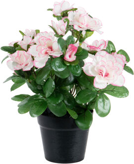 Kunstbloemen Azalea - in pot - wit/roze - H25 cm - Kunstplanten