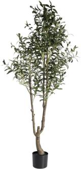Kunstboom In Pot Olijfboom - /zwart - 150 Cm - Kunststof - Groen