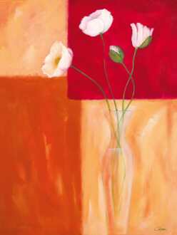 Kunstdruk Günter Gohn - Mohn mit Siena-Braun 60x80cm Divers - 60x80 cm