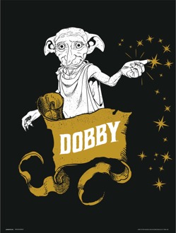 Kunstdruk Harry Potter - Dobby 30x40cm Divers - 30x40 cm