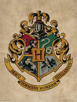 Kunstdruk Harry Potter - Hogwarts Crest 30x40cm Divers - 30x40 cm