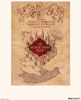 Kunstdruk Harry Potter The Marauders Map 30x40cm Divers - 30x40 cm