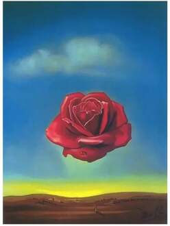 Kunstdruk Salvador Dali - Rose Meditative 60x80cm Divers - 60x80 cm