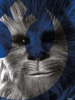 Kunstdruk Star Wars - Episode IX Chewbacca 30x40cm Divers - 30x40 cm