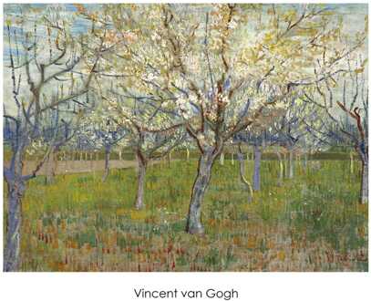 Kunstdruk Vincent van Gogh - The Orchard 70x50cm Divers - 70x50 cm