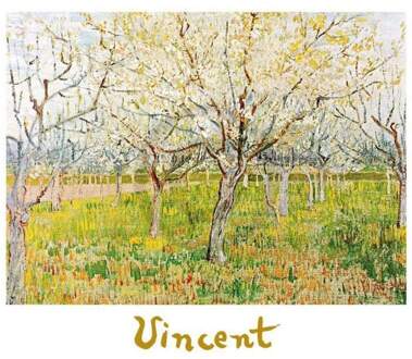 Kunstdruk Vincent van Gogh The Orchard 70x50cm Divers - 70x50 cm