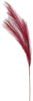 Kunstgras/rietgras/takken/losse steel - pluimen pampasgras - donkerrood - 80 cm