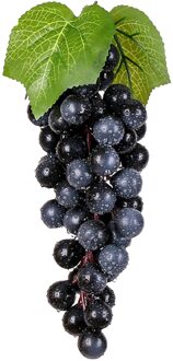 Kunstmatige Plant Simulatie Druiven Bladeren Ornament Muur Decor Decoratieve Gereedschap Voor Thuis Winkels Decor 60stk / zwart