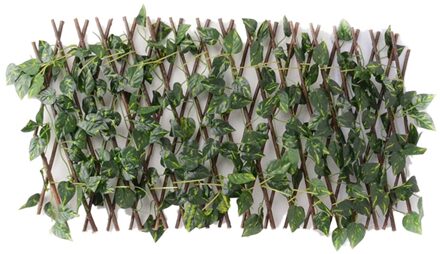Kunstmatige Tuin Plant Hek Groene Wijnstok Simulatie Plant Telescopische Hek Privacy Blad Hek Hek Voor Outdoor Gardendecoration