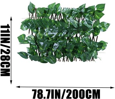 Kunstmatige Tuin Plant Uitbreiden Hek Intrekbare Hek Screen Met Plant Uitbreidbaar Hek Privacy Hek Uv Beschermd Privacy