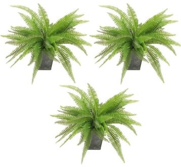 Kunstplant - 3x - varen - groen - 33 cm - kunst kamerplant